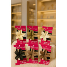 PIRANHA MARROM FOSCA PCT C 12UN 897